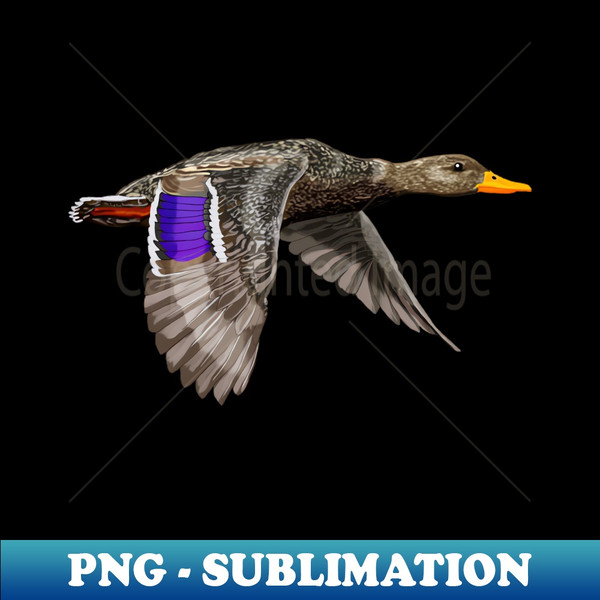 NN-6322_Mallard duck hen 4251.jpg