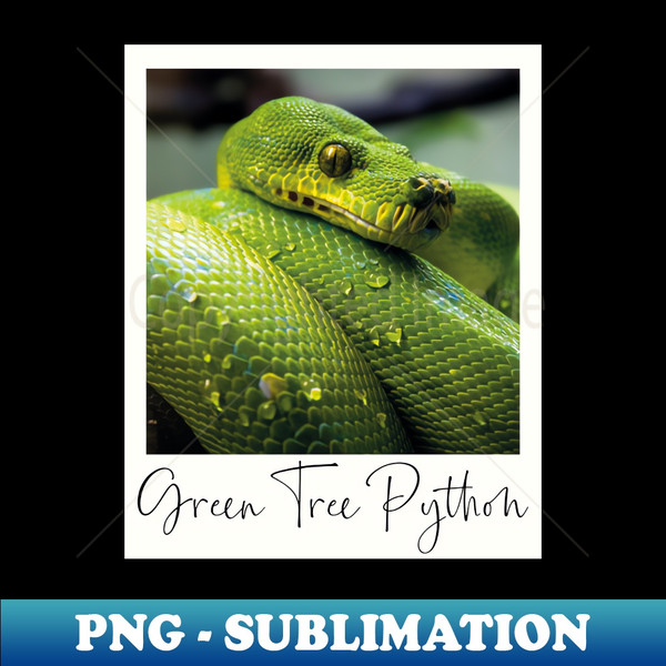 AT-11431_Green Tree Python Snake Instant Photo Gift 8313.jpg