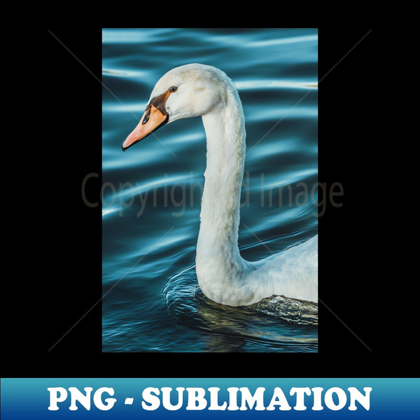 JS-23829_Silk Waves Swan Photograph 9280.jpg