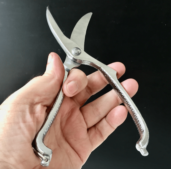 Italian Pedrini Locking Professional Poultry Shears