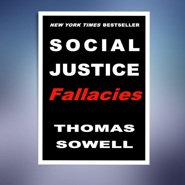 Social-Justice-Fallacies.jpg