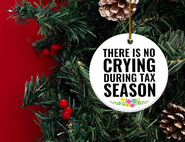 There is No Crying During Tax Season,Accountant Ornament,CPA Gift,Tax Accountant Gift,CPA Ornament,Accounting Gift,Finance Gifts, H-30112206 - 2.jpg