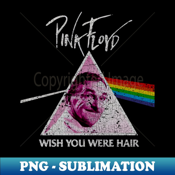 QQ-40616_pink floyd 8327.jpg