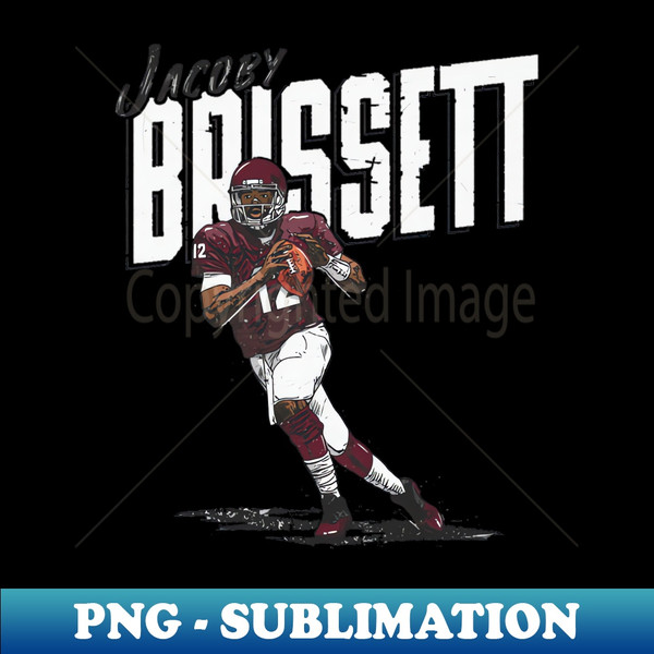 VF-27968_Jacoby Brissett Washington Slant 3222.jpg