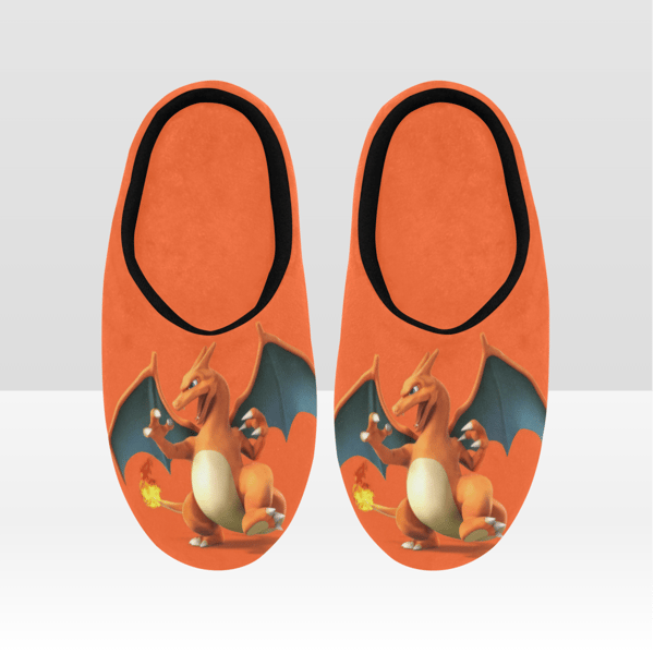 Charizard Slippers.png