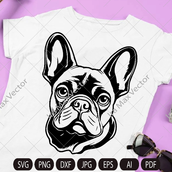 french bulldog imv.jpg