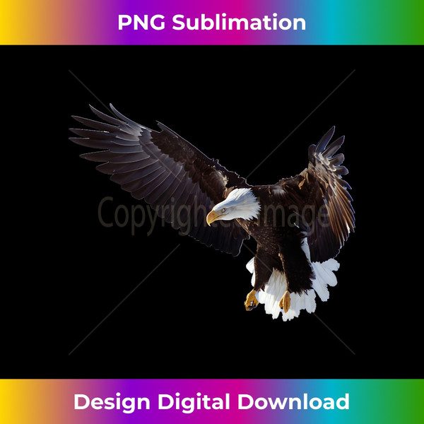 CS-20231128-3357_Lovely American Bald Eagle In Flight Photo Portrait 1571.jpg