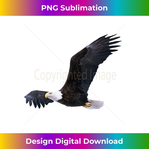 DS-20231128-1565_Elegant American Bald Eagle In Flight Photo Portrait 0634.jpg