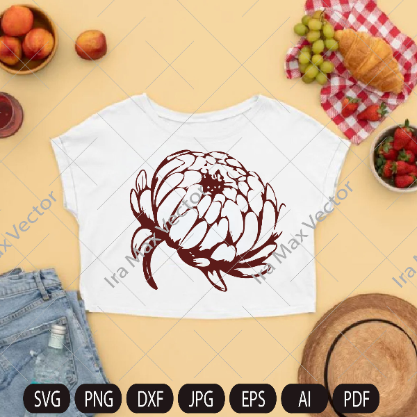 chrysanhtemum tshirt.jpg