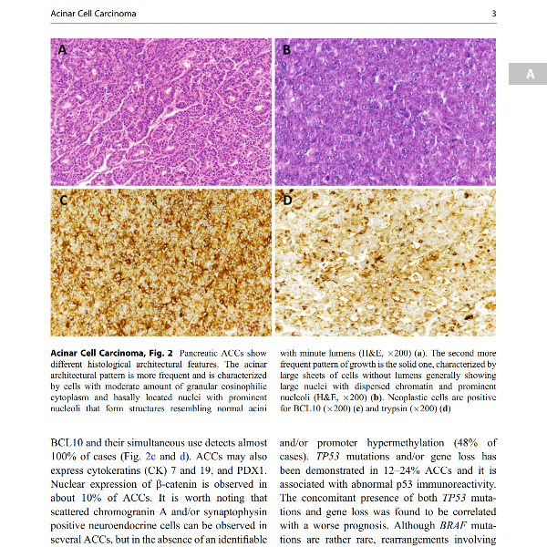 Pathology of the Pancreas A Practical Approach 2nd ed. 2021 Edition - PDF 4.PNG
