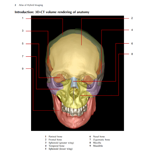 Atlas of Hybrid Imaging Sectional Anatomy for PET-CT, PET-MRI and SPECT-CT Vol. 1 Brain and Neck 3.PNG