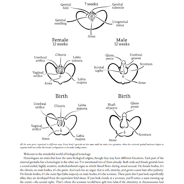 Come As You Are Revised and Updated The Surprising New Science That Will Transform Your Sex Life - PDF 2.PNG