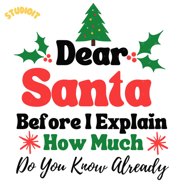 Dear-Santa-Before-I-Explain-How-Much-Do-Digital-Download-SVG140624CF185.png