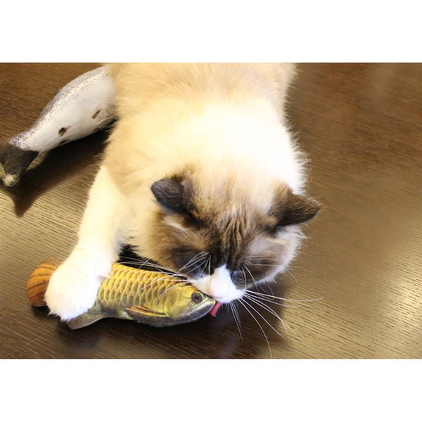 zEzePet-Soft-Plush-3D-Fish-Shape-Cat-Toy-Interactive-Gifts-Fish-Catnip-Toys-Stuffed-Pillow-Doll.jpg