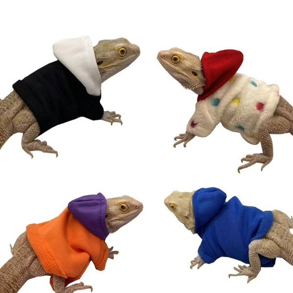 xVVeLizards-Clothes-for-Bearded-Dragon-Geckos-Reptiles-Apparel-Hand-made-Hoodies.jpg