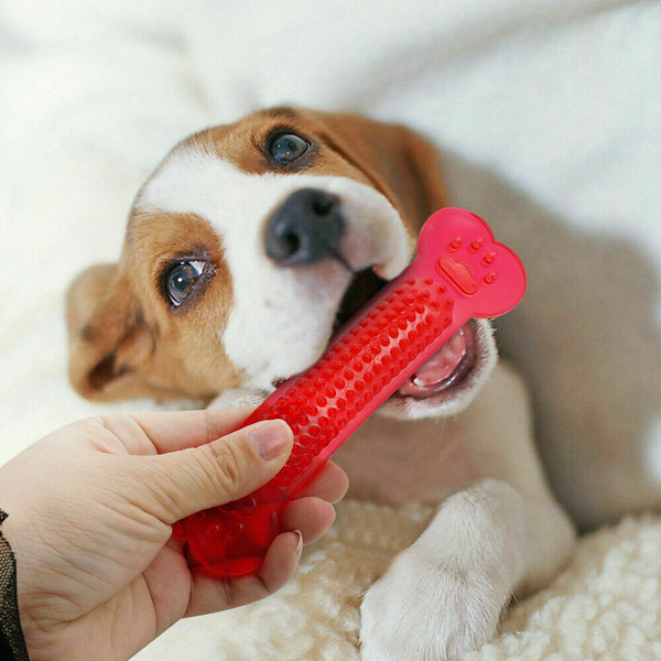 UudYHot-Sale-Pet-Dog-Chew-Toys-Rubber-Bone-Toy-Aggressive-Chewers-Dog-Toothbrush-Doggy-Puppy-Dental.jpg