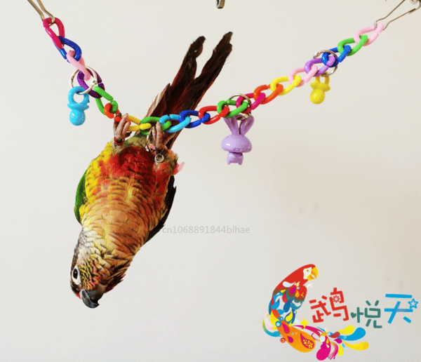 6CqnPet-Supplies-Toy-Parrot-Toys-Colorful-Acrylic-Bridge-Cage-Bird-Funny-Hanging-Accessories-Swing-Toys-Chain.jpg