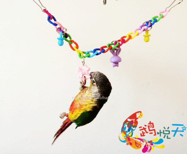 QjGbPet-Supplies-Toy-Parrot-Toys-Colorful-Acrylic-Bridge-Cage-Bird-Funny-Hanging-Accessories-Swing-Toys-Chain.jpg