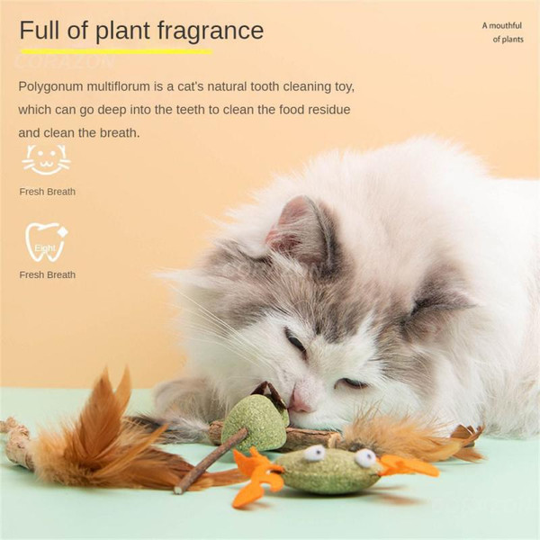 lA0fChasing-Game-Toy-Cat-Mint-Healthy-Safety-Mixed-Multicolor-Wooden-Polygonum-Catnip-Cat-Tooth-Grinding-Rod.jpg