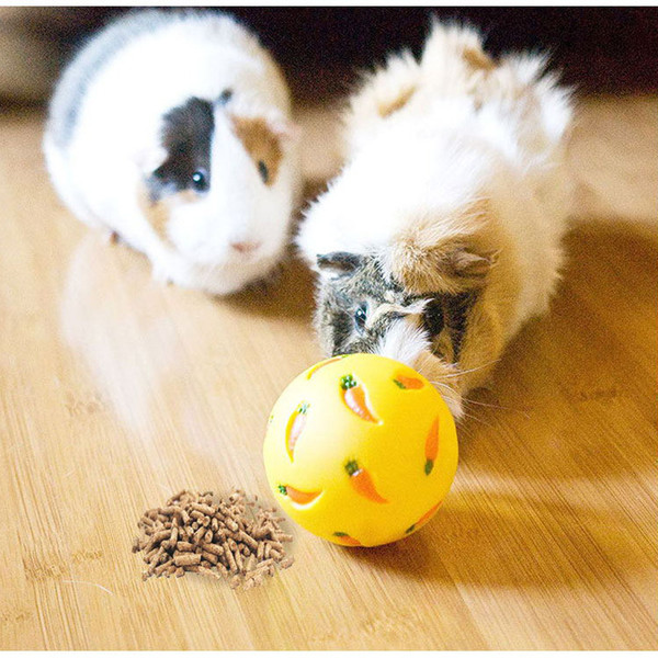 wmnPRabbit-Treat-Ball-Pet-Slow-Feeder-Interactive-Bunny-Toy-Snack-Toy-Ball-Bite-Resistant-Feeding-Toys.jpg