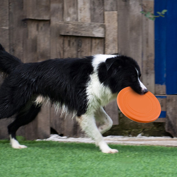 sh7pSilicone-Flying-Saucer-Funny-Dog-Cat-Toy-Dog-Game-Flying-Discs-Resistant-Chew-Puppy-Training-Interactive.jpg