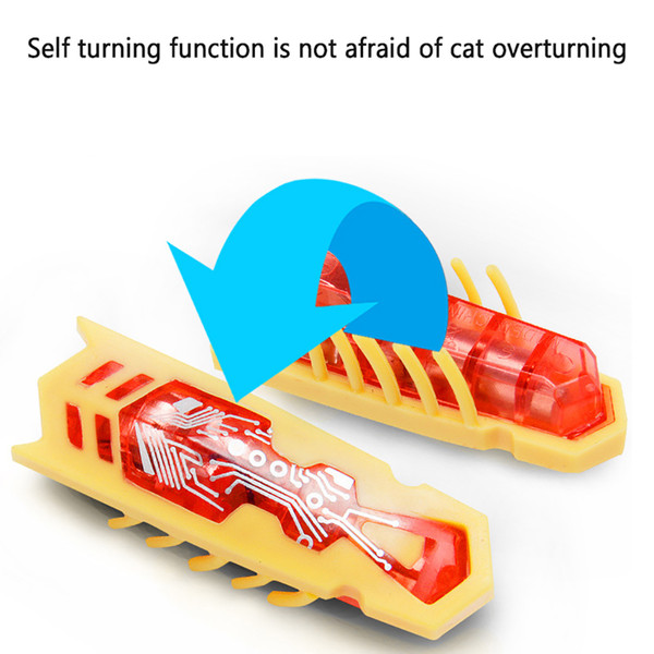 Z9oGElectric-Insect-Cat-Toy-Automatic-Flip-Toy-Battery-Powered-Escape-Obstacle-Amusement-Amusing-Cat-Toy-Pet.jpg