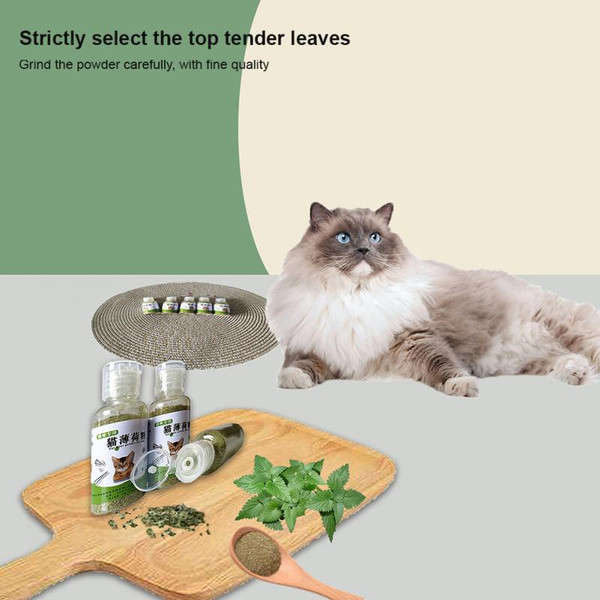 fdOU5-6-10g-Cat-Mint-Powders-Natural-Catnip-Leaf-Bottles-Promote-Digestion-Cleaning-Teeth-Cat-Snacks.jpg