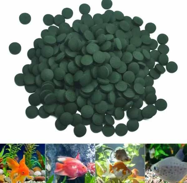 TqvJ10pcs-Astaxanthin-Aquarium-Fish-Tank-Tablet-Pills-Fish-Food-Non-toxic-Supplies-Shrimp-Aquarium-Feeding-Fish.jpg