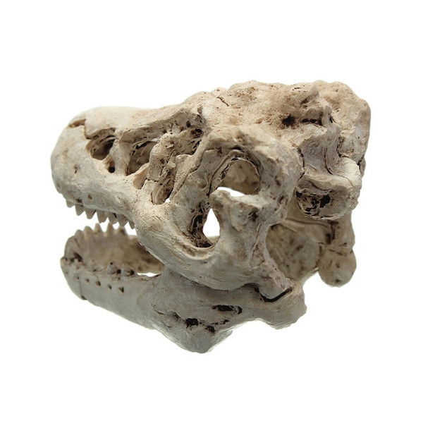 jCdJ1-Pcs-Dragon-Resin-Aquarium-Terrarium-Decoration-Crocodile-Skull-For-Fish-Tank-Resin-Ornament-Decorate-Your.jpg