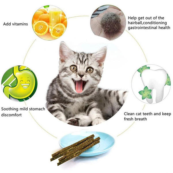 rpqR6Pcs-Kitten-Chew-Toys-Catnip-Sticks-Cat-Molar-Natural-Wood-Polygonum-Sticks-Reusable-Pet-Snacks-Cleaning.jpg