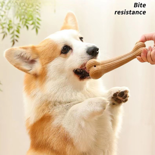 1SO9Bite-Resistant-Pet-Dog-Chew-Toys-Molar-Teeth-Clean-Stick-Interesting-Pine-Wood-Cute-Bone-Shape.jpg