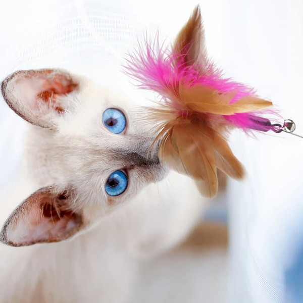 eH1EInteractive-Cat-Toys-Funny-Feather-Teaser-Stick-with-Bell-Pets-Collar-Kitten-Playing-Teaser-Wand-Training.jpg
