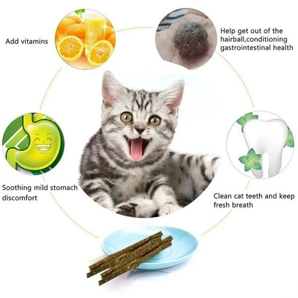 5DYECat-Mint-Toys-Matatabi-for-Cats-Natural-Catnip-Stick-Catnap-Lollipop-Toy-Teeth-Grinding-Clean-Pet.jpg