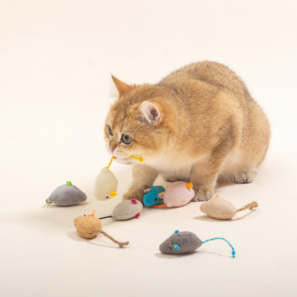 1zi2Funny-Plush-Cat-Toy-Soft-Solid-Interactive-Mice-Mouse-Toys-For-Funny-Kitten-Pet-Cats-Playing.jpg