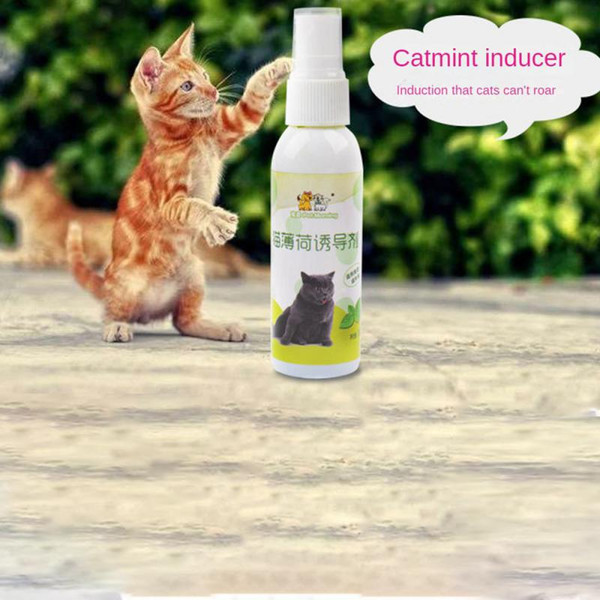 s7Mb50ml-Cat-Catnip-Spray-Healthy-Ingredients-Catnip-Spray-For-Kittens-Cats-Attractant-Easy-To-Use-Safe.jpg