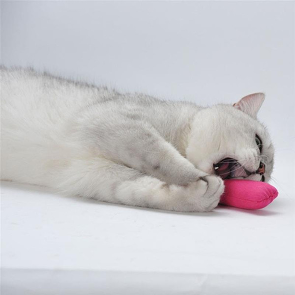 VPizFunny-Interactive-Crazy-Cat-Toy-Pet-Kitten-Chewing-Toy-Teeth-Grinding-Catnip-Toys-Claws-Thumb-Bite.jpg
