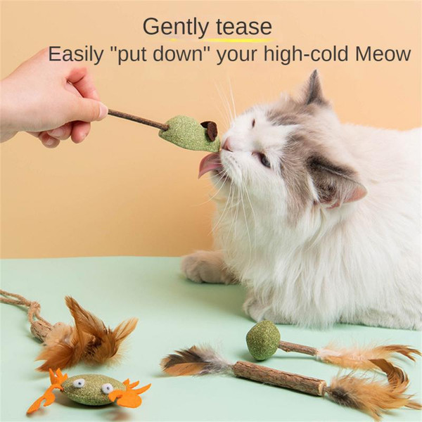 KW9ZPet-Catnip-Toys-Edible-Catnip-Ball-Safety-Healthy-CatMint-Cats-Home-Chasing-Game-Toy-Products-Clean.jpg