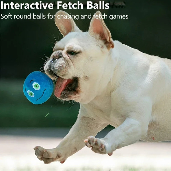 u2liDog-Toy-Play-Squeakers-Ball-Chewing-Toy-Fetch-Bright-Balls-Dog-Supplies-Puppy-Popular-Toys-Interactive.jpg