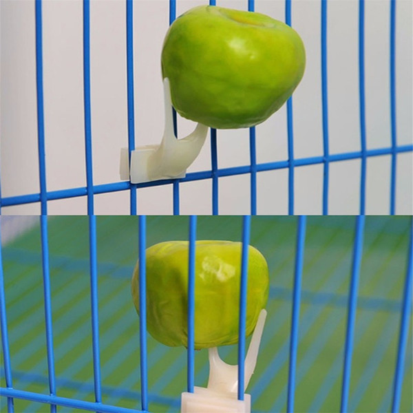 jberPet-Parrots-Birds-Feeder-Food-Holder-Support-Stainless-Steel-Spear-Stick-Fruit-Anti-stick-Skewers-Bird.jpg