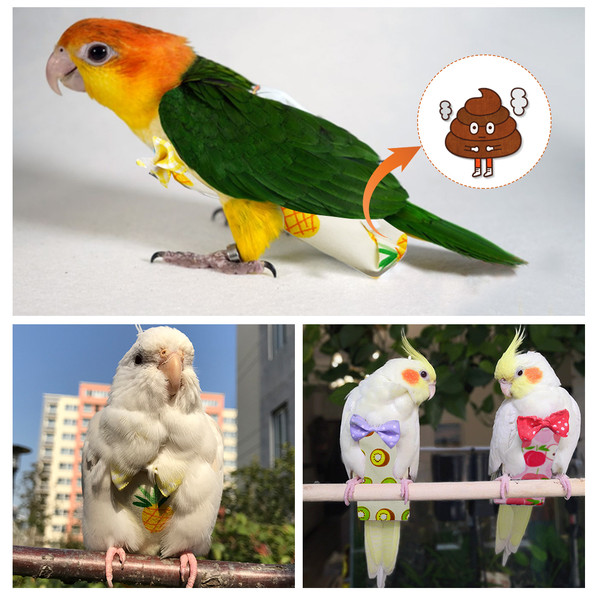 D3K9Parrot-Diaper-with-Bowtie-Cute-Colorful-Fruit-Floral-Cockatiel-Pigeons-Small-Medium-Large-Pet-Birds-Flight.jpg