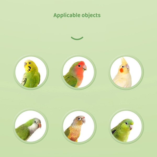 JylZPet-Bird-Feeding-Toy-Food-Dispenser-for-Parrots-Parakeets-Cockatiel-Lovebird.jpg