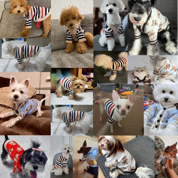 0HORWinter-Dog-Clothes-Chihuahua-Soft-Puppy-Kitten-High-Striped-Cardigan-Warm-Knitted-Sweater-Coat-Fashion-Clothing.jpg