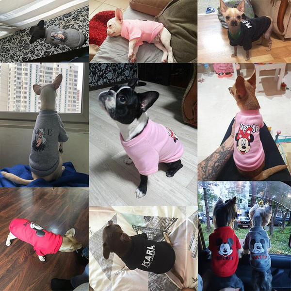 9WjUDisney-Winter-Autumn-Dog-Clothes-Stitch-Dumbo-Cartoon-Clothes-for-Dog-Pet-Clothes-Hoodie-Coat-Chihuahua.jpg