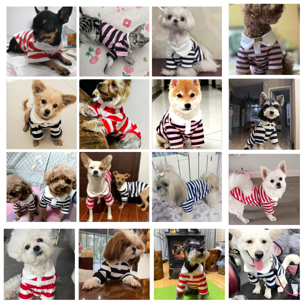 3OuySummer-Dog-Polo-Shirt-Pet-Dog-Cooling-Clothes-Striped-Sweatshirt-Chihuahua-Puppy-Pullover-Dog-Vest-for.png