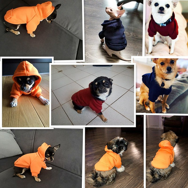 8GNOPet-Dog-Clothes-For-Small-Dogs-Clothing-Warm-Clothing-for-Dogs-Coat-Puppy-Outfit-Pet-Clothes.jpg