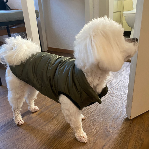 sKNnWarm-Pet-Dog-Vest-Jacket-Autumn-Winter-Dog-Clothes-French-Bulldog-Chihuahua-Clothing-For-Small-Medium.jpg