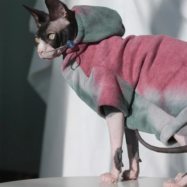 st0ESphynx-Cat-Clothes-Autumn-Winter-Fashion-Luxury-Dog-Cat-Hoodie-New-Arrival-Pet-Sphinx-Clothing-Cotton.jpg