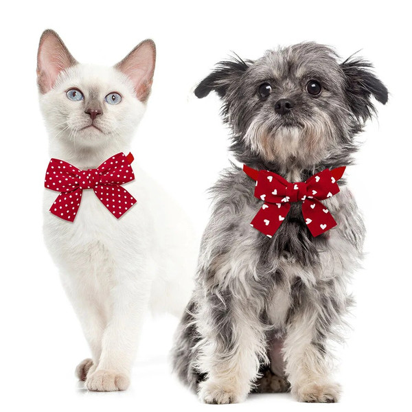 QVbP50pcs-Bulk-Dog-Bowtie-For-Small-Dogs-Cats-Bow-Tie-Bowties-Fashion-Pet-Dog-Grooming-Accessories.jpg