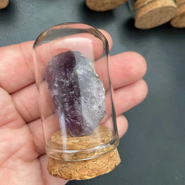 l4zKNatural-Raw-Stone-Crystal-Mineral-Glass-Display-Jar-Specimen-Collections-Children-Popular-Science-Teaching-Tool-Gift.jpg