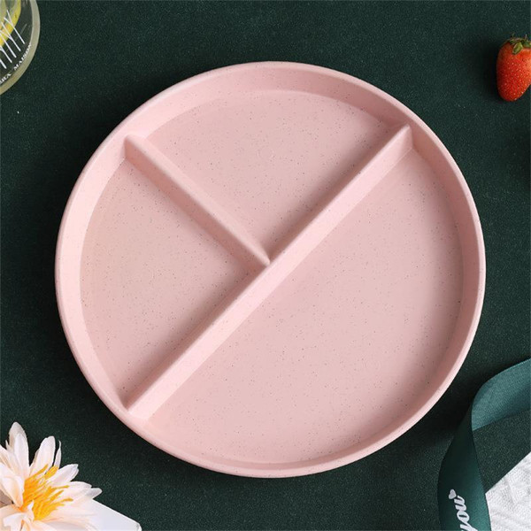 C8f41-2PCS-Divided-Dish-In-3-Diet-Reusable-Round-Dinner-Plate-Kitchen-Dinnerware-Portion-Plates-for.jpg